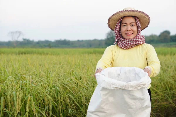 Happy Asian woman farmer is at paddy field, wears hat, yellow shirt,Thai loincloth covers  head, holds white sack of organic fertilizer, confident. Concept, farmer satisfied in product for agriculture