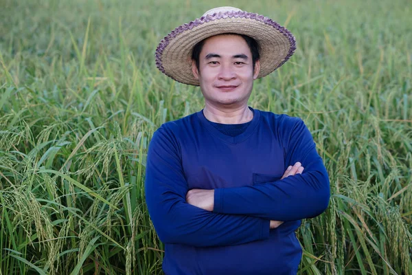 Handsome Asian man farmer is at paddy field, wears hat, blue shirt, cross arms on chest, feel confident. Concept ,Agriculture occupation. Farmer with organic rice.