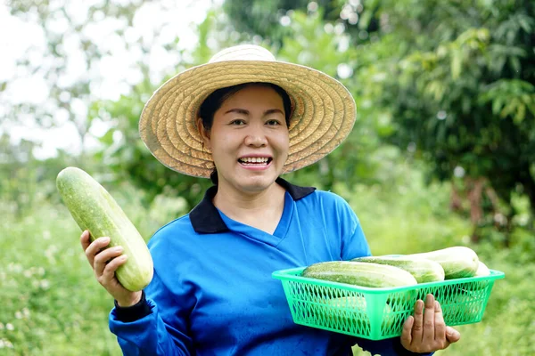 Mujer Asiática Feliz Jardinero Está Jardín Lleva Sombrero Camisa Azul — Foto de Stock