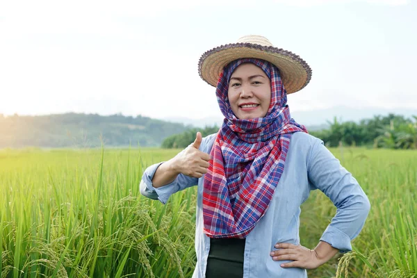 Happy Asian woman farmer is at paddy field, wears hat and puts hands on hips, thumbs up, feels confident. Concept , Agriculture occupation. Farmer with organic rice.
