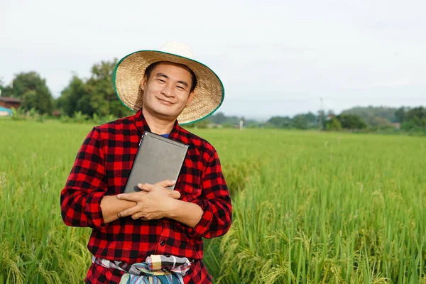 Азіатський Фермер Знаходиться Полі Носить Капелюх Сорочку Червоною Штукатуркою Тримає — стокове фото
