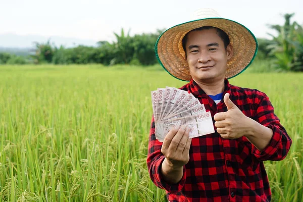 Asian farmer man is at paddy field, wears hat and red plaid shirt, hold Thai banknote money.  Thumbs up. Concept , Farmer happy to get profit, income, agriculture supporting money. Proud on crops.