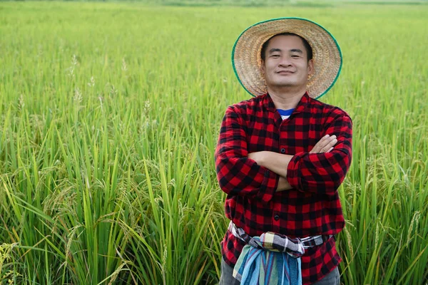 ハンサムなアジアの男性農家の水田では 胸の上に赤い再生シャツ クロス腕を着て 自信を感じている 農業職業 タイの農家 自然との協働 有機農業 — ストック写真