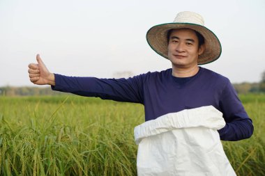 Yakışıklı Asyalı çiftçi çeltik tarlasında, şapka takıyor, beyaz organik gübre torbası tutuyor, kendini beğenmiş. Tarım ürünlerinden memnun çiftçi kavramı.   