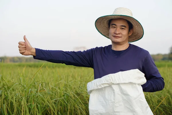 Hezký Asijský Farmář Rýžovém Poli Nosí Klobouk Drží Bílý Pytel — Stock fotografie
