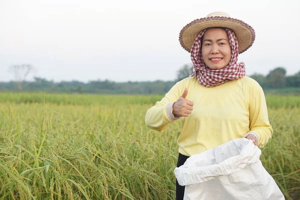 Mujer Asiática Feliz Agricultor Está Campo Arroz Lleva Sombrero Camisa — Foto de Stock