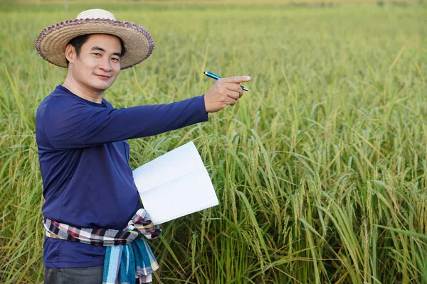 Handsome Asian man farmer  wear hat, blue shirt, holds notebook paper, Point to somethingat paddy field for adding text or advertisement. Concept, agriculture occupation, farmer grow organic rice.