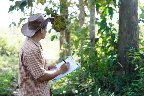 Asiatisk Manlig Botaniker Inspekterar Och Registrerar Trädinformation Papper Koncept Undersökning — Stockfoto