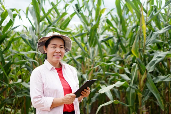 Happy Asian woman farmer is at maize garden, hold smart tablet. Concept : Agricultural research. Smart farmer. Using technology to manage and develop crops.