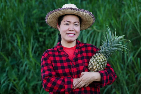 Asian woman farmer wears hat, red plaid shirt, holds pineapple fruit. Concept : Agriculture crop in Thailand. Farmer satisfied. Organic crops. Seasonal fruits.