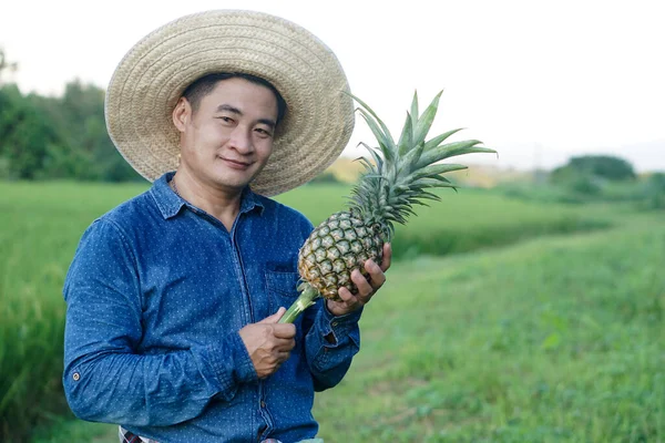 Handsome Asian man farmer wears hat, blue shirt, holds pineapple fruit. Concept : Agriculture crop in Thailand. Farmer satisfied. Organic crops. Seasonal fruits.