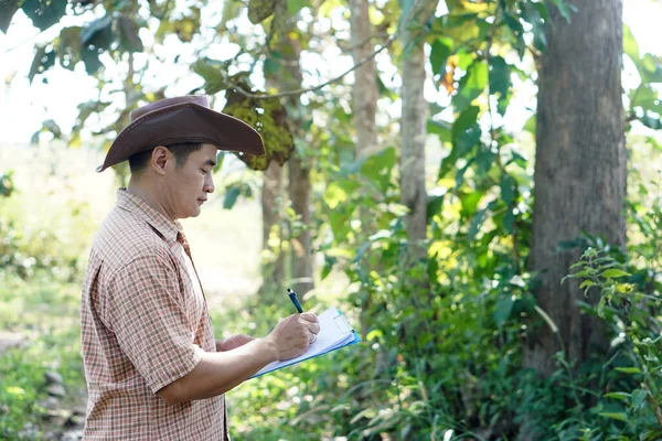 Asiatisk Manlig Botaniker Inspekterar Och Registrerar Trädinformation Papper Koncept Survey — Stockfoto