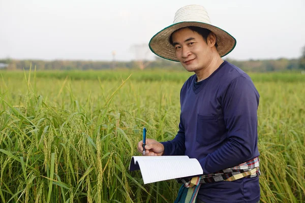 ハンサムなアジアの男性農家の水田では 青いシャツを着て ノートブックペーパーを保持し 植物の成長と病気を検査します 農業研究と作物を開発する研究 — ストック写真