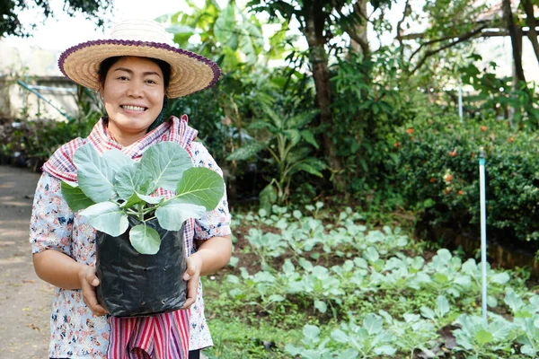 Potrait Mujer Asiática Jardinero Usa Sombrero Sostiene Bolsa Plántulas Verduras — Foto de Stock