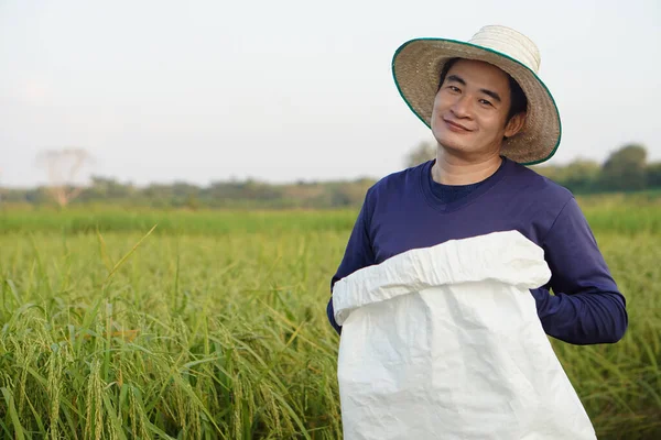 Happy handsome Asian man farmer is at paddy field, wears hat, blue shirt, holds white sack of organic fertilizer, confident. Concept, farmer satisfied in product for agriculture.