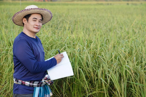 ハンサムなアジアの男性農家の水田では 青いシャツを着て ノートブックペーパーを保持し 植物の成長と病気を検査します 農業研究と作物を開発する研究 — ストック写真