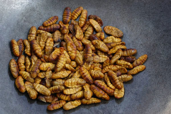 Gusanos Seda Fritos Cerca Sartén Concepto Comida Rara Insectos Comiendo —  Fotos de Stock