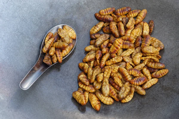 把蚕丝放在锅里炸开 奇怪的食物 昆虫在吃东西高脯氨酸 泰国的传统街头食品 食虫动物 — 图库照片