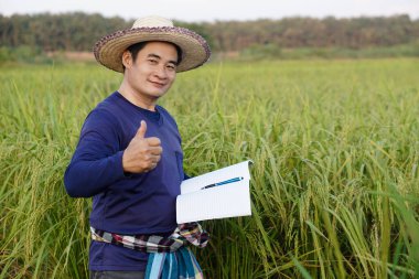 Yakışıklı Asyalı çiftçi çeltik tarlasında, şapka takıyor, mavi gömlek giyiyor, defter kağıdı tutuyor, bitkilerin büyümesini ve hastalığını inceliyor. Ekinleri geliştirmek için kavram, tarım araştırması ve öğrenim.              