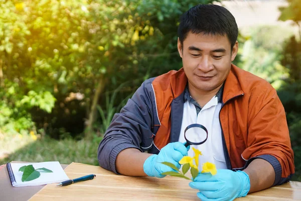 Handsome Asian man science teacher holds magnifying glass to inspect flowers. Concept, outdoor teaching and learning. science subject,Project work. Experiment, education, learning by doing approach.
