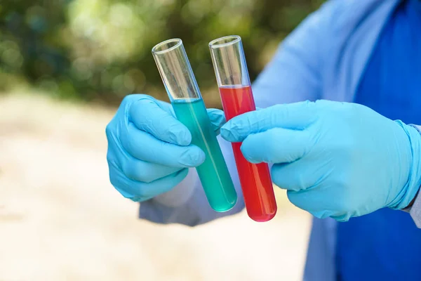 Closeup hands wears blue gloves holds test tubes that contain red and blue liquid substances inside. Science experiment. Extract color.  Concept, Chemistry lesson. Lab