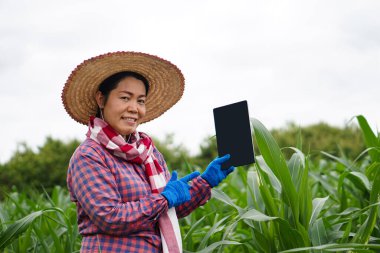 Portrait of Asian woman farmer wears hat, plaid shirt, holds smart tablet at maize garden. Concept : Agricultural research. Smart farmer. Using technology to manage and develop crops.    