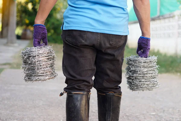 Closeup worker hand holds rolls of barbed wire. Concept, construction tool. Barbed wire is used for make fences , secure property ,make border to show the territory of  area.