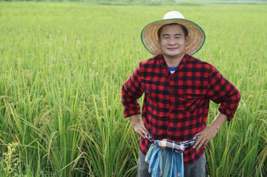 Asyalı çiftçi kadın çeltik tarlasında, Tayland paralarını elinde tutuyor. Çiftçi, kar, gelir ve tarımla para kazanmaktan mutluluk duyar. Ekinlerle gurur duyuyorum..            