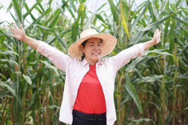 Cheerful Asian woman farmer is at maize garden, wears hat, raise hands stretch up. Concept, happy farmer. Agriculture occupation. Working with nature. Organic farming.Success in work.    