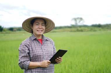Asian woman farmer is at paddy firled, wear hat and plaid shirt, hold smart tablet to inspect growth and diseases of plants. Concept : smart farmer, use technology in agriculture.     