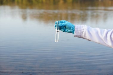 Closeup researcher hands wears blue gloves holds test glass tube that contain sample water from the lake. Concept, explore, inspect quality of water from natural source.                  