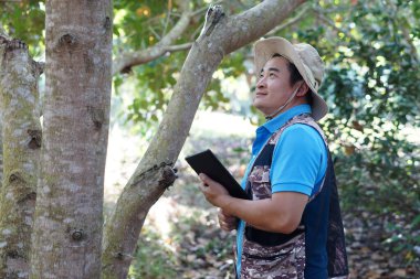 Asian man botanist wears hat , holds smart tablet to check and survey trees in forest. Concept : using smart device technology to manage environment and research tree      