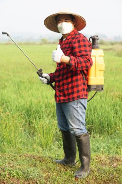 Yakışıklı Asyalı çiftçi çeltik tarlasına organik gübre püskürtüyor. Çevreyle dost ürünü kullanmak kavram, kimyasalsız tarım. Kullanıcı ve çevreyle güvenlik.      