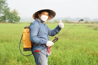 Asyalı çiftçi çeltik tarlasında organik gübre püskürtüyor. Başparmak yukarı. Kimyasal kullanmadan çevre tarımı ile dost ürünü kullanma kavramı. Kullanıcı ve çevreyle güvenlik.         