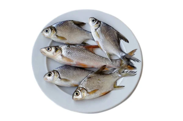 Сырая Пресноводная Рыба Приготовления Пищи Белой Тарелке Изолированная Белом Фоне — стоковое фото