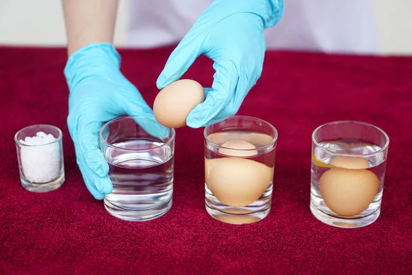 Close up science experiment about eggs in water, compare the density by adding salt into water, soak eggs in transparent glass. Concept, easy science activity for learning , studying lesson. Education