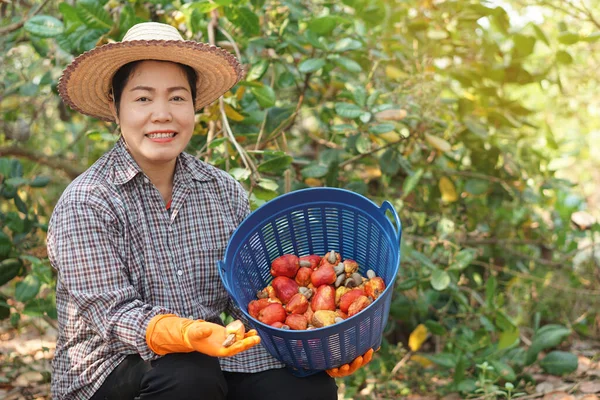 Glückliche Asiatische Gärtnerin Erntet Früchte Garten Hält Korb Lächelt Konzept — Stockfoto
