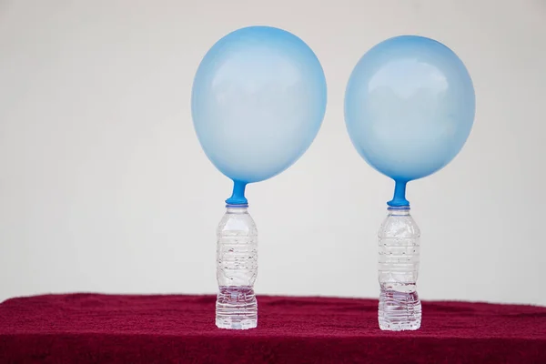 蓝色充气气球放在透明的试瓶之上 引发气球膨胀的化学物质 醋和小苏打反应的概念 科学实验 实验的最后一步 — 图库照片