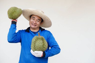 Asyalı çiftçi şapka takıyor, mavi gömlek giyiyor, Durian meyvesi tutuyor. Başparmaklar yukarı. Kavram, tarım işgali. Taylandlı çiftçiler ekonomik ve ihracat meyveleri olarak durian meyveleri yetiştiriyor     