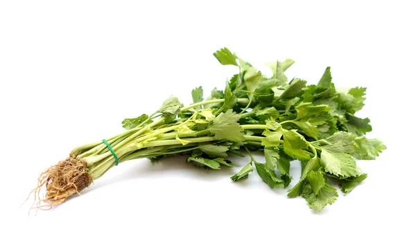 Φρέσκα Βιολογικά Λαχανικά Σέλινου Απομονωμένα Λευκό Φόντο Έννοια Φυτικά Φυτά — Φωτογραφία Αρχείου