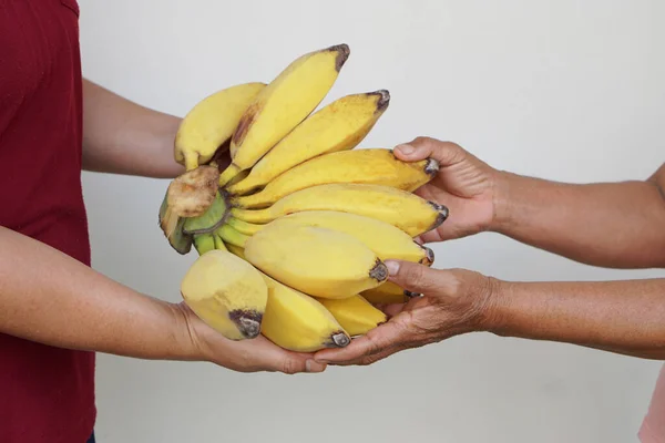 Hands give and receive yellow organic banana fruits. Concept , Giving and sharing. Agriculture product. Healthy lifestyle.