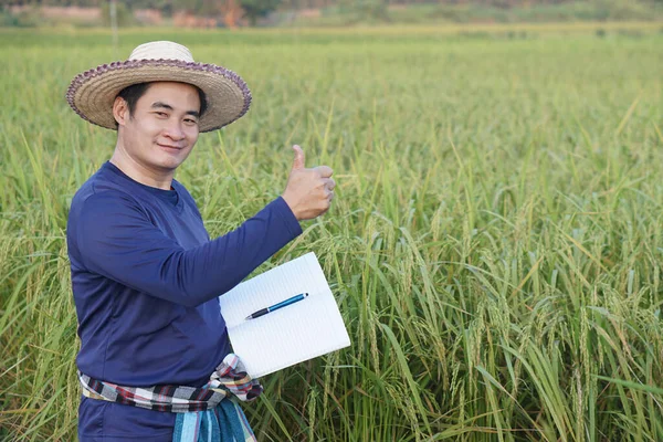 Asian Man Farmer Paddy Field Wear Hat Blue Shirt Holds — Foto de Stock