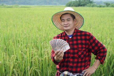 Asyalı çiftçi çeltik tarlasında, şapka ve kırmızı ekose gömlek giyiyor, Tayland banknotları parasını elinde tutuyor. Çiftçi: Kazanç, gelir ve tarım desteği almaktan mutlu.      