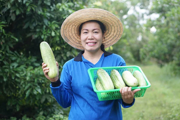 Glückliche Asiatische Gärtnerin Steht Garten Trägt Hut Blaues Hemd Und — Stockfoto