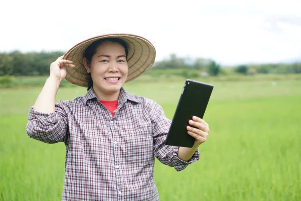 幸せなアジアの女性農家の緑の水田では 帽子をかぶって 再生シャツ スマートタブレット 笑顔を保持します 農業職業 研究に無線技術デバイスを使用して スマート農家 — ストック写真