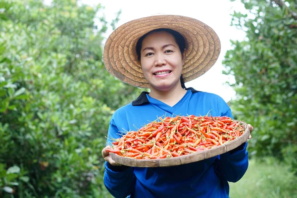 Mujer Asiática Feliz Agricultor Está Jardín Usar Sombrero Camisa Azul — Foto de Stock