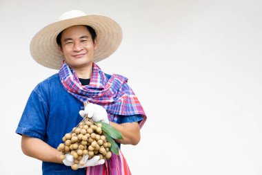 Mutlu Asyalı çiftçi portresi meyve bahçesinde, şapka takıyor, mavi gömlek giyiyor, Longan meyveleriyle gurur duyuyor. Taylandlı çiftçiler Tayland 'ın ihracat ürünü olarak organik longan yetiştirirler..