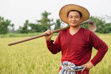 Asyalı çiftçi çeltik tarlasında çapa taşıyor. Kavram, tarım, organik tarım. Kimyasal yok. Herbisit yerine geleneksel manüel araç kullanmak. Sıfır kirlilik. 
