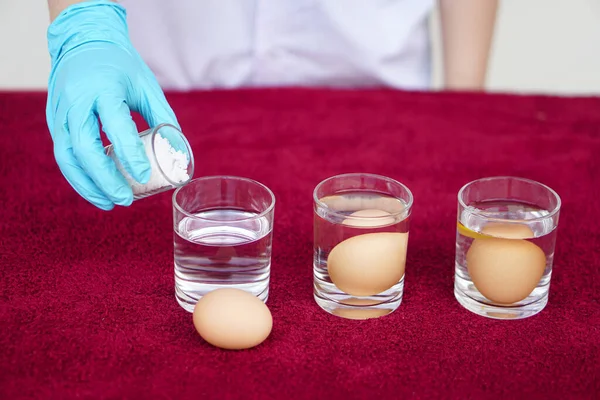Close up science experiment about eggs in water, compare the density by adding salt into water, soak eggs in transparent glass.Concept, easy science activity for learning , studying lesson. Education