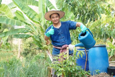Asyalı bahçıvan bahçedeki bitkileri sulamak için mavi sulama kutusu tutuyor. Kavram, bahçıvanlık, bitkilerle ilgilenmek. Tayland yerel tarım yaşam tarzı. Yeterlilik ekonomisi. Doğa ile çalışmak.   